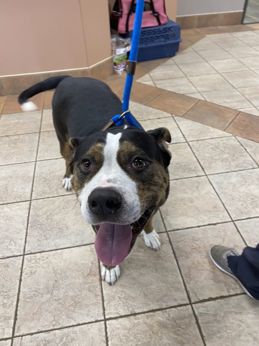 Photo Aug 24 2022, 1 37 03 PM