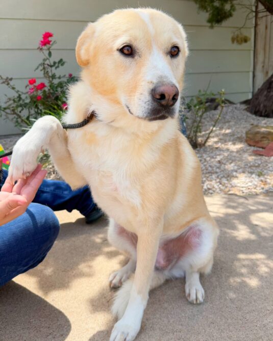 491914092_1010546681177582_2304850867270505661_n