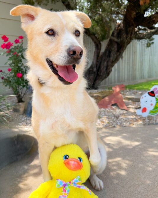 491916765_1010546587844258_3817486543510967059_n