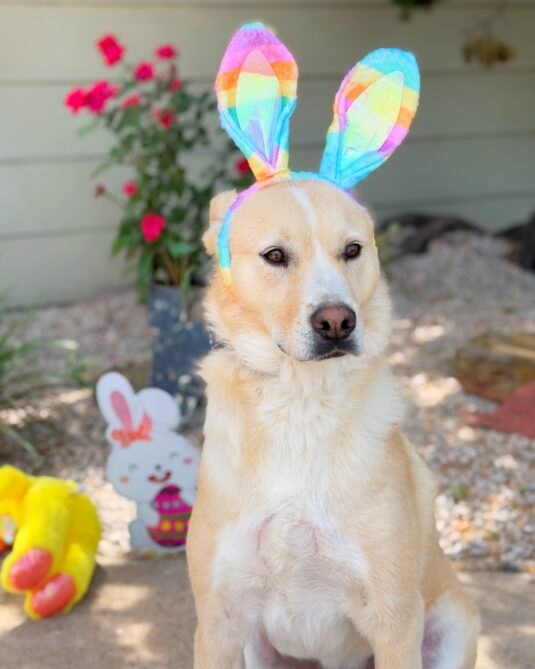 492004848_1010546444510939_2377868464023611258_n