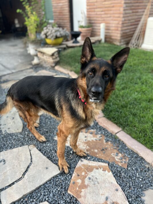 Photo Jul 15 2025, 8 14 38 PM