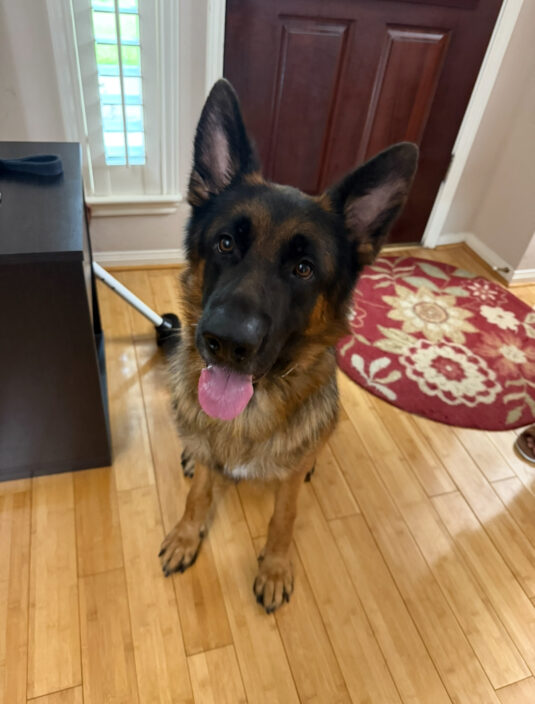 Photo Sep 12 2025, 1 55 06 PM (1)