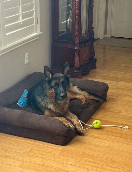 Photo Sep 12 2025, 1 55 06 PM (3)