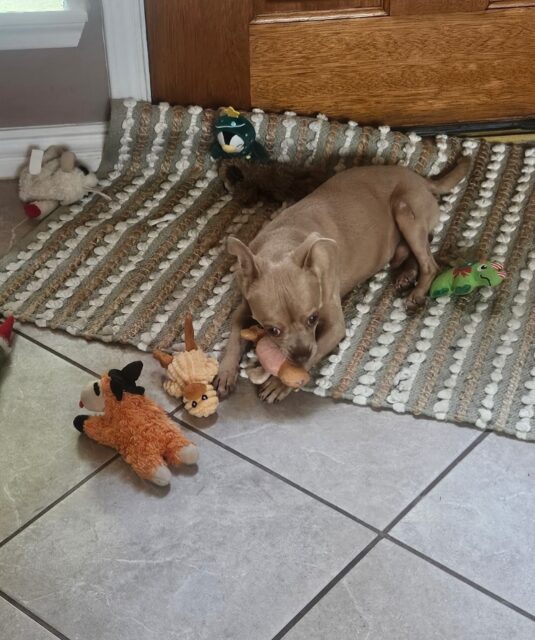 543636251_18534493813044136_1779514399396863281_n