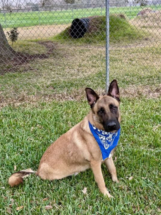 Photo Jan 22 2026, 3 06 42 PM